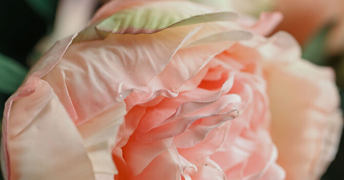 Sculptra